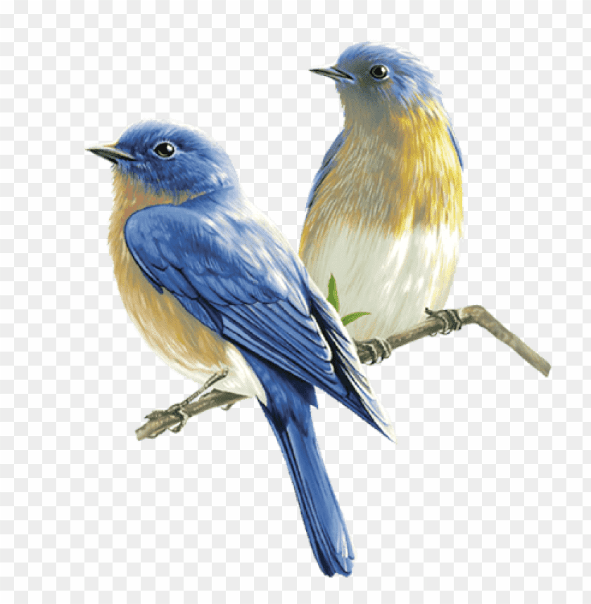 Download Birds Png Images Background