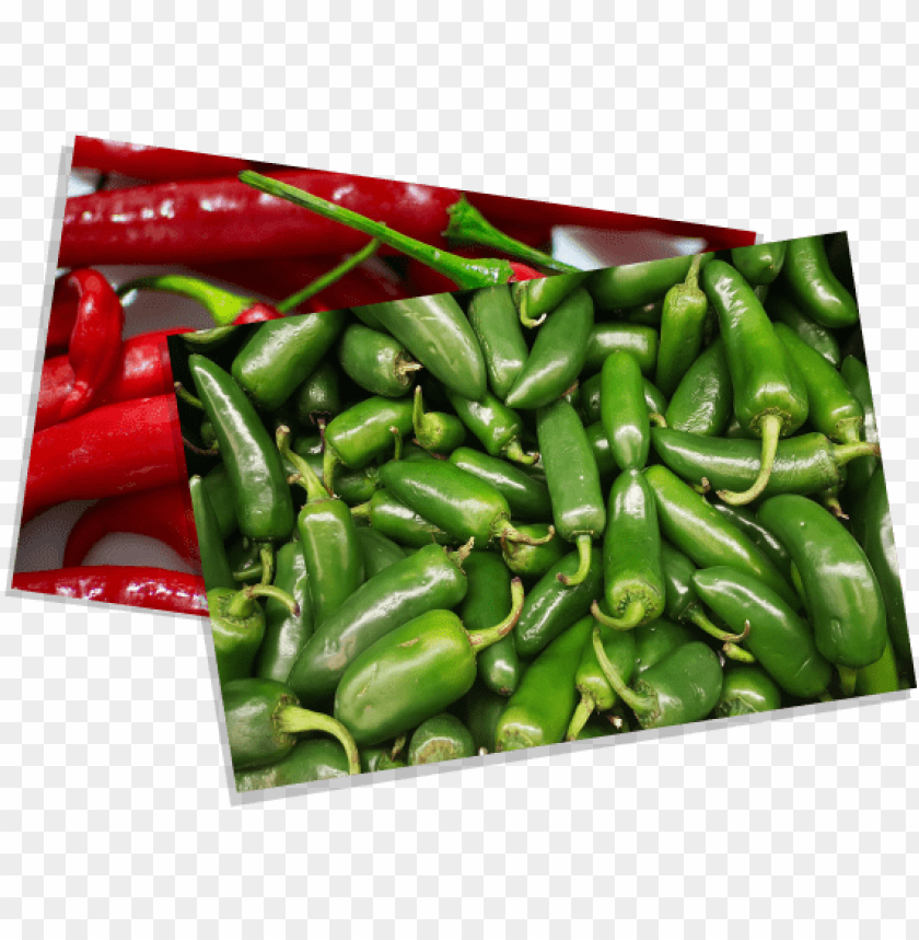 Free Download HD PNG Birds Eye Chili PNG Transparent With Clear 