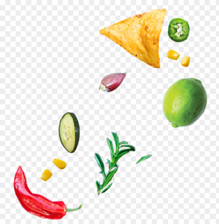 mexican food, food network logo, mexican hat, healthy food, fast food, food truck