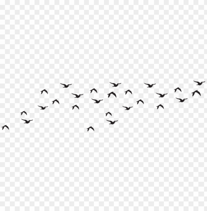 birds flock silhouette png - Free PNG Images@toppng.com