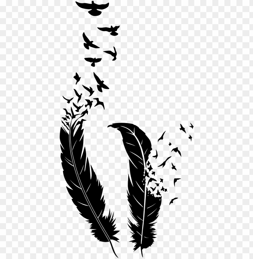 feather silhouette, feather vector, indian feather, feather drawing, birds flying, feather