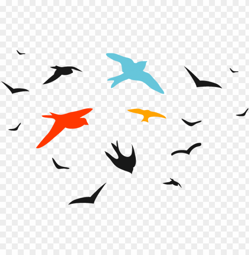 bird, birds, pattern, flower, background, flying bird, square