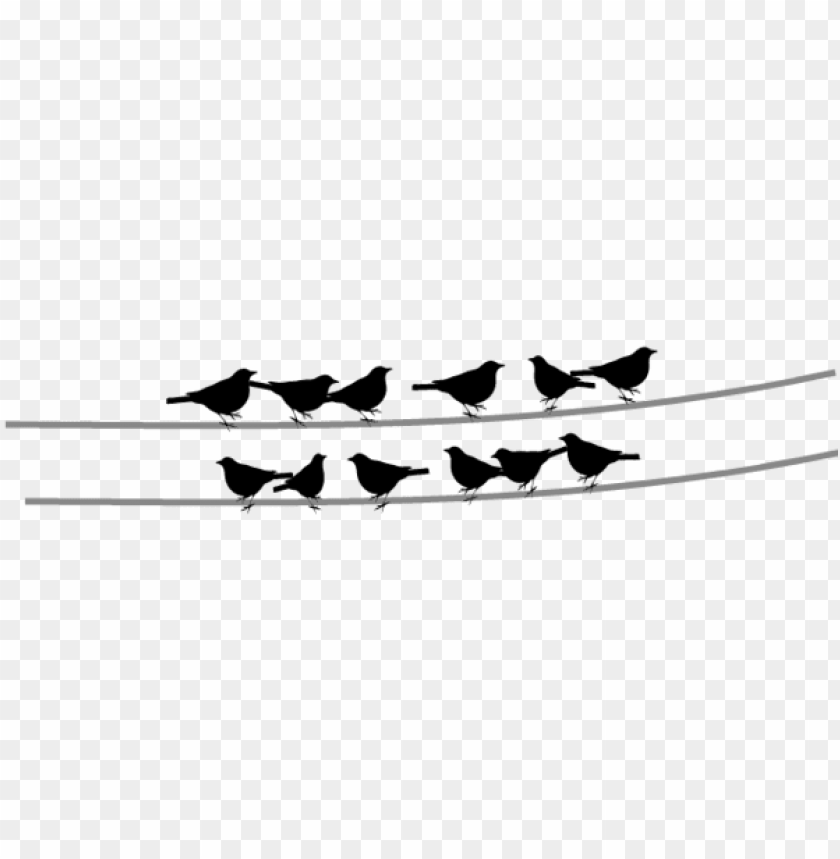 small arrow, small tree, phoenix bird, twitter bird logo, big bird, bird wings