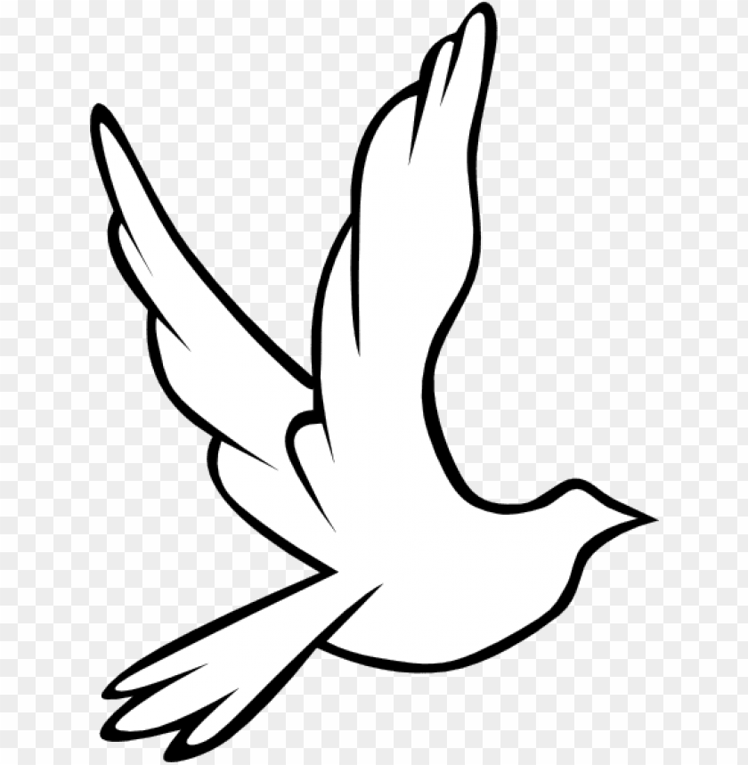 white dove, drawn arrow, hand drawn arrow, drawn circle, hand drawn circle, peace dove
