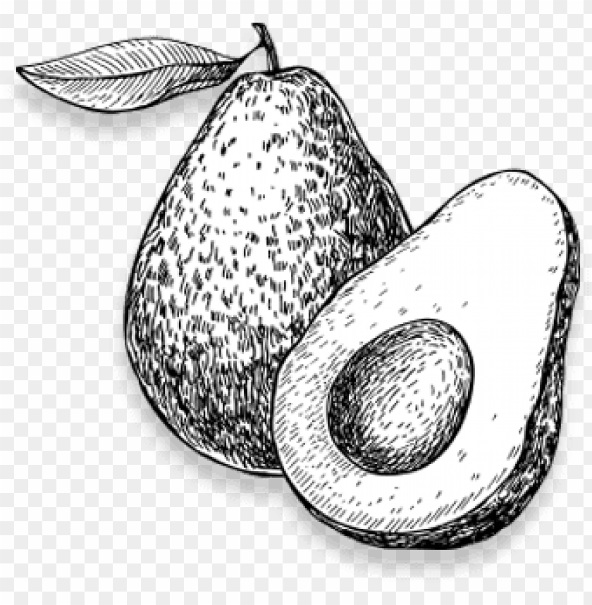 black and white picture of avocado PNG image with transparent background@toppng.com