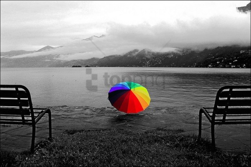 black and white pictures with a splash of color, blackandwhite,color,picture,blackand,blackandwhit,blackandwhitepictures