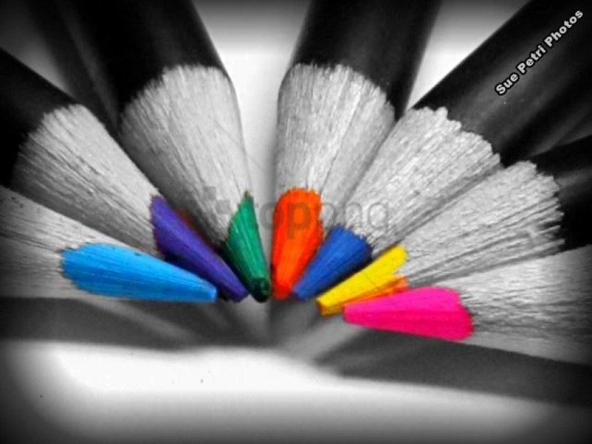 black and white pictures with a splash of color, white,blackand,blackandwhit,pictur,splashofcolor,blackandwhitepictures