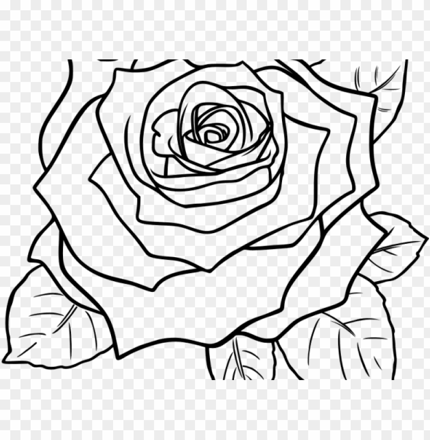 Black And White Rose Clipart - Black And White Rose PNG Transparent With Clear Background ID 194952