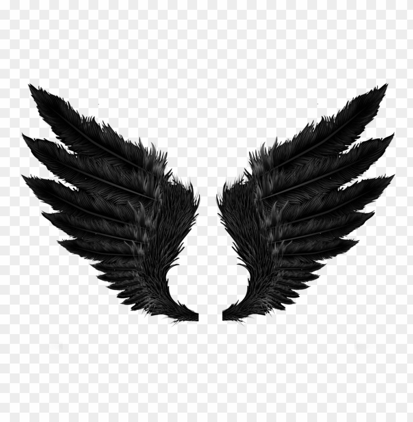 comics, fantasy, wings, black angel wings, 