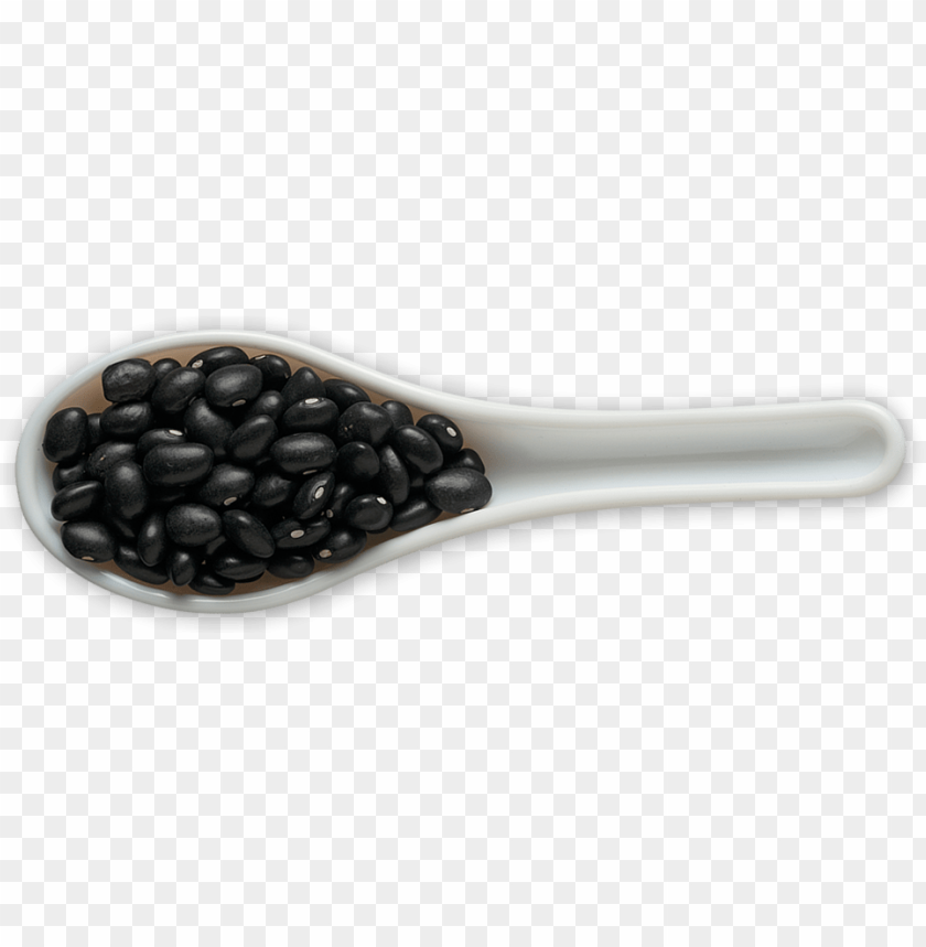 vegetables, beans, black beans, black turtle bean, black soybean,الخضار والبقول والفاصوليا السوداء , الفول السلاحف 