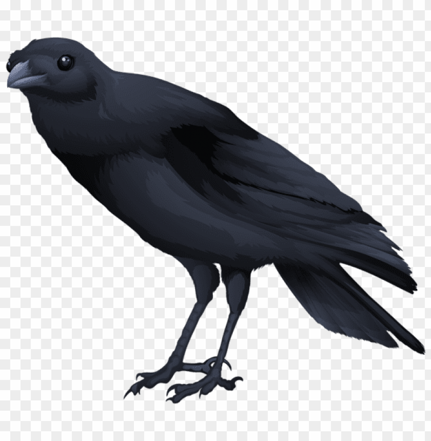 black bird png images background - Image ID 46976