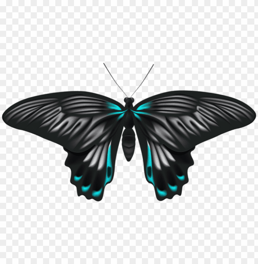 Download black blue butterfly clipart png photo | TOPpng