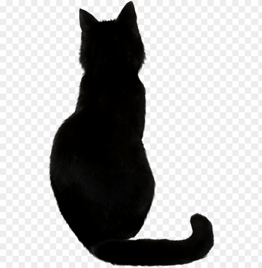 black cat png images background - Image ID 5969