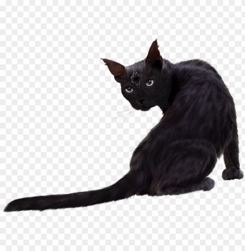 black cat png images background - Image ID 5978
