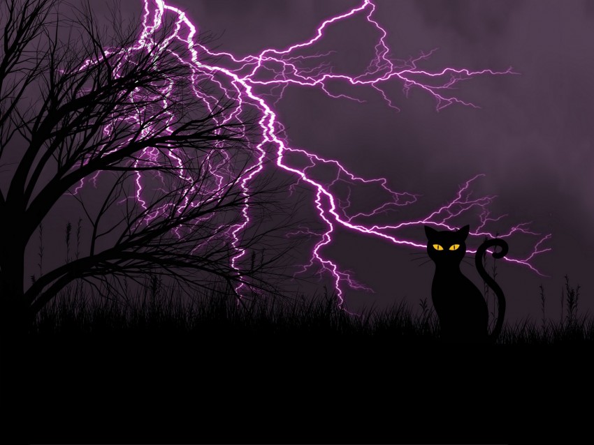 black cat, lightning, art, grass, night