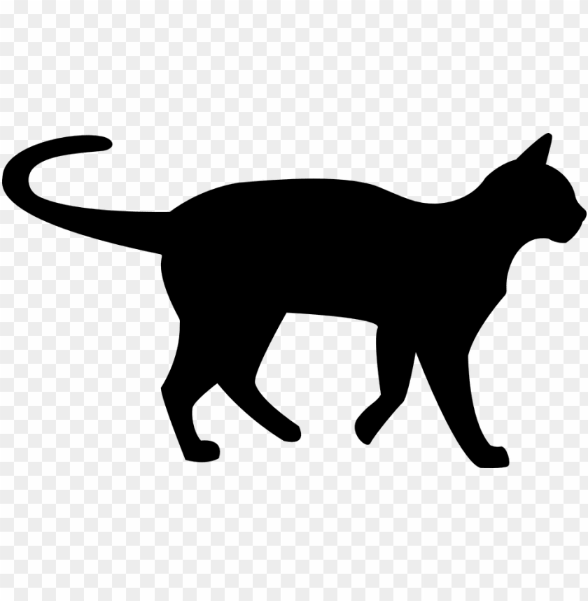 animals, cats, black cat silhouette, 