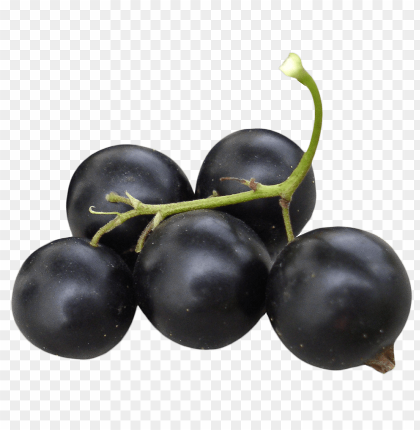 
fruits
, 
berry
, 
berries
, 
black currant
, 
currants
