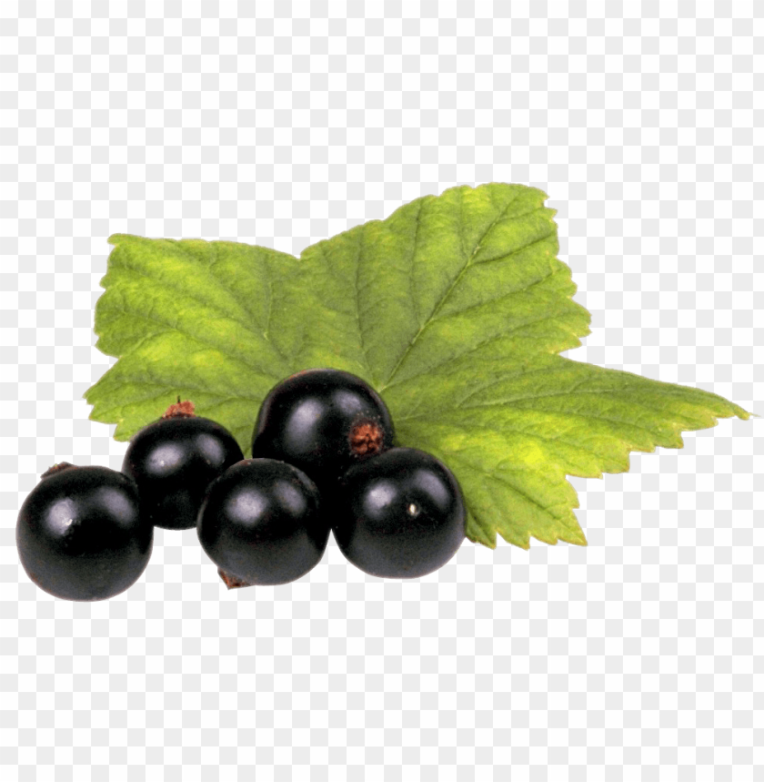 fruits, berries, black currant, currants