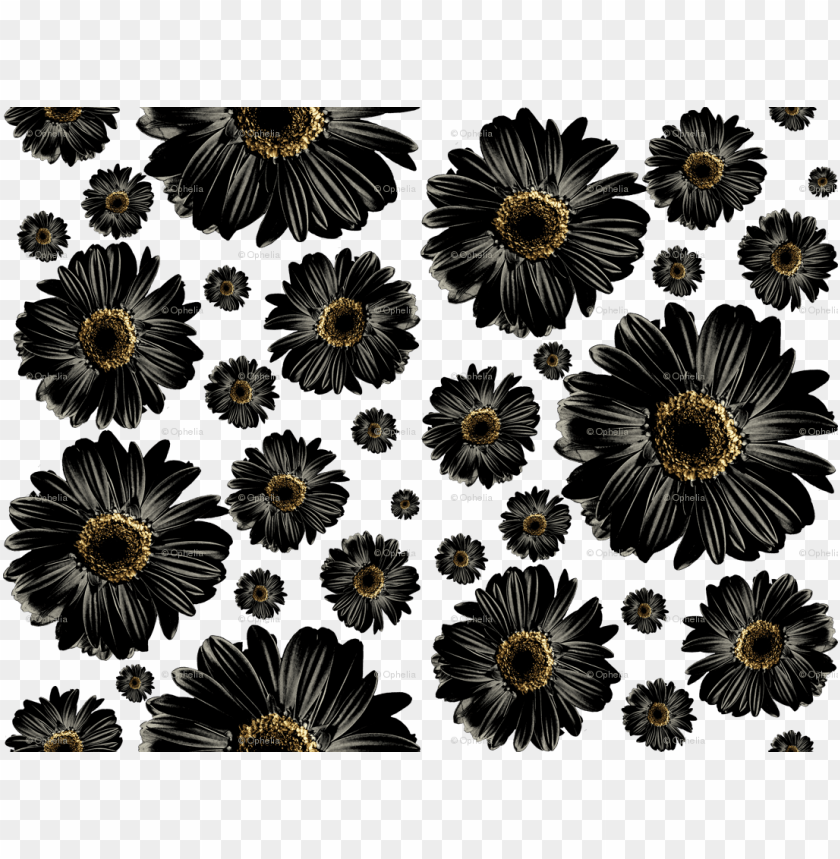food, flower, gold, floral, black and white, daisy, african