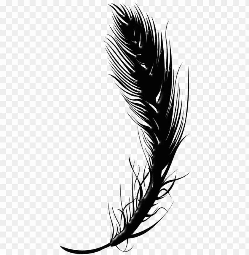 free PNG black feather pen PNG image with transparent background PNG images transparent