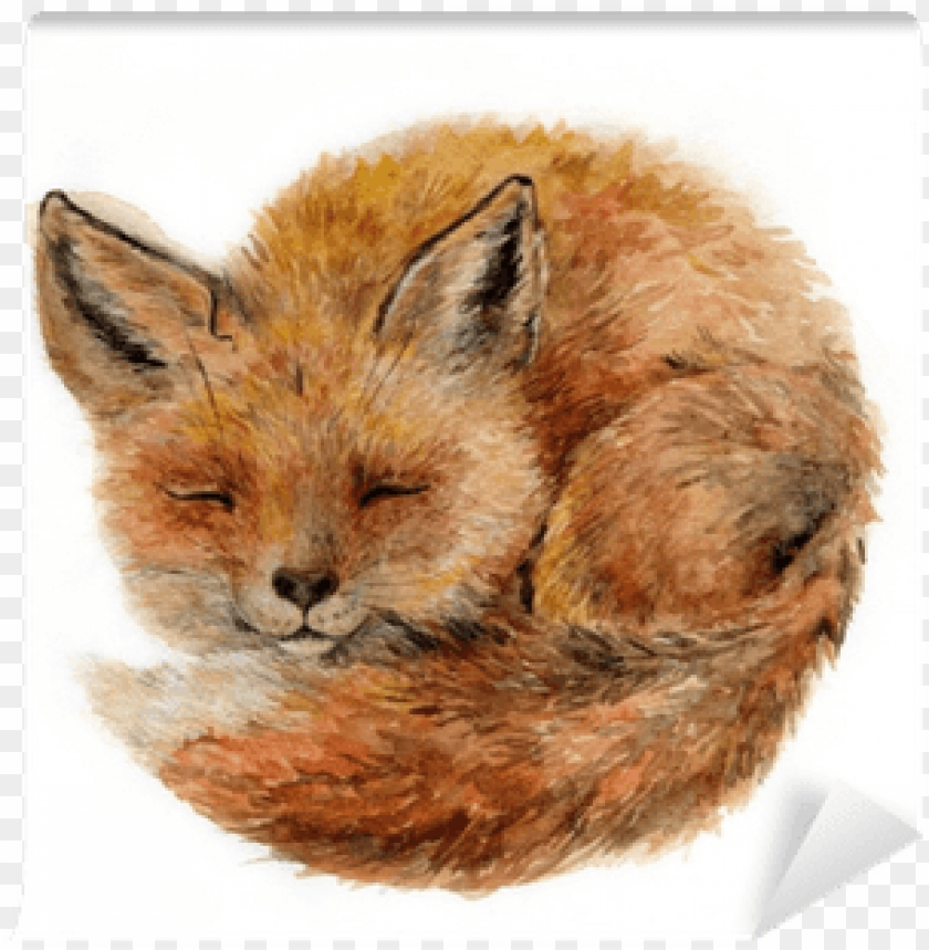 black forest decor baby fox indoor/outdoor pillow PNG image with transparent background@toppng.com