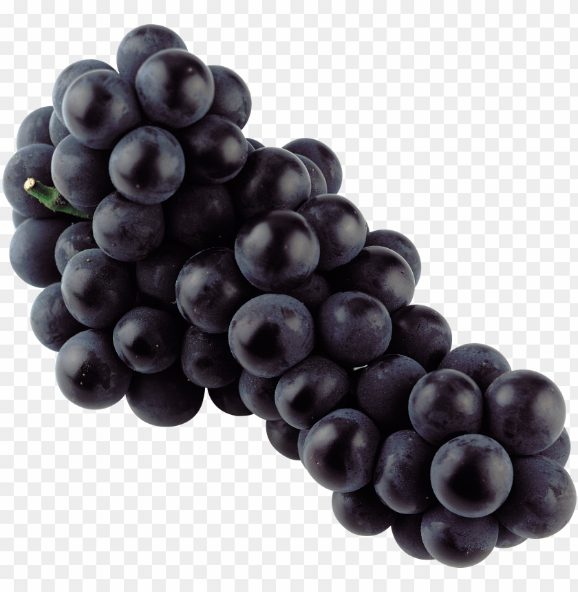 
grape
, 
berry
, 
grapes
, 
fruit
, 
black grapes
