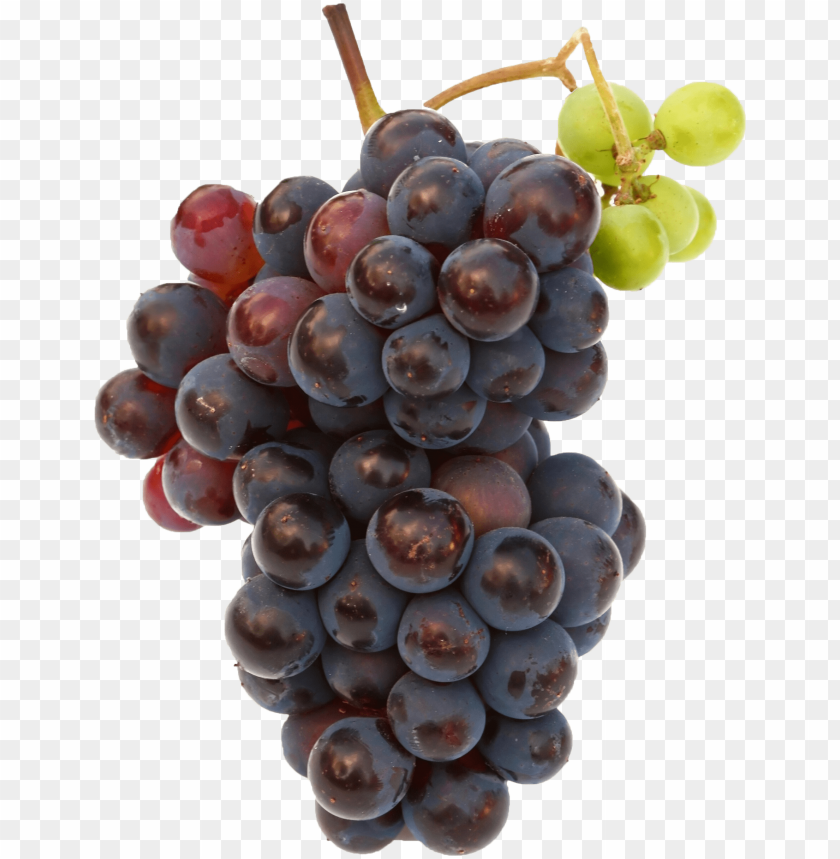 food, grapes, fresh, grape leaves, abstract, grape vines, organic