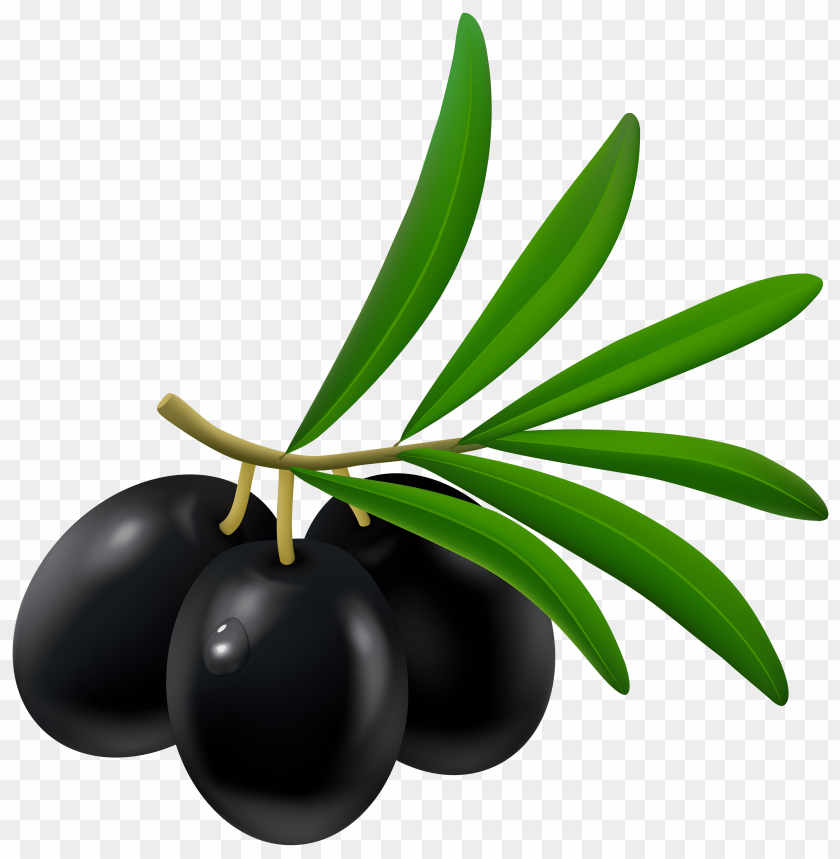 black, olive