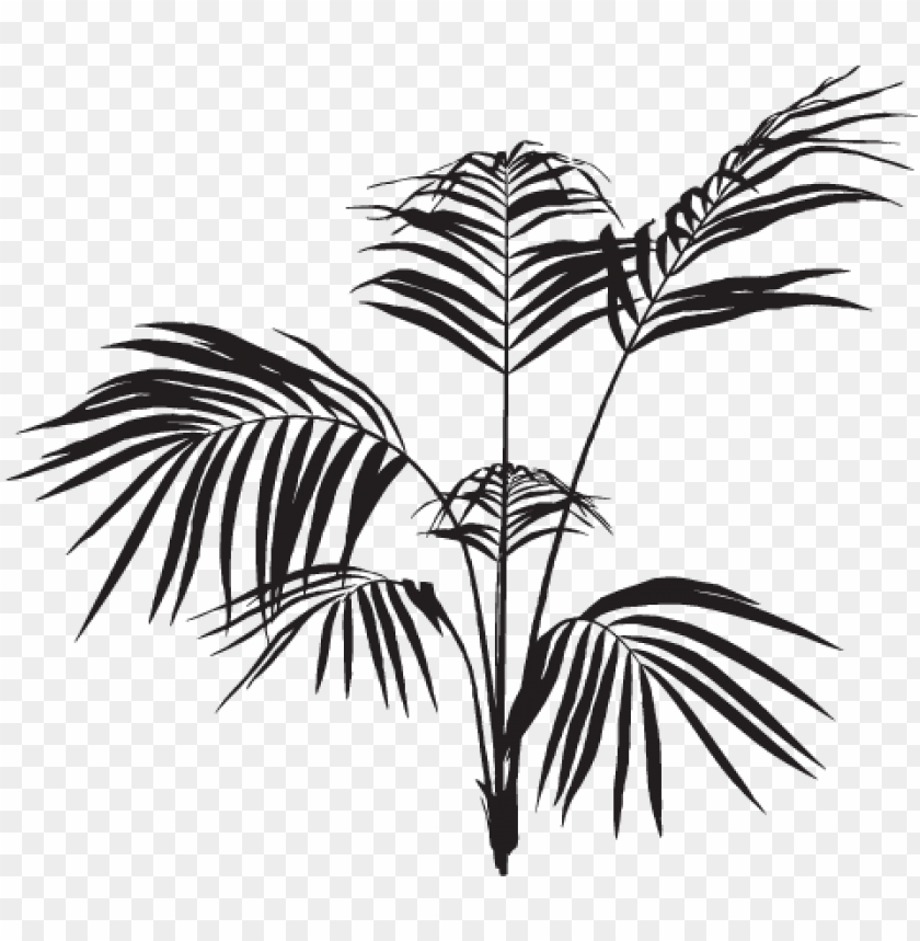 black palm leaves PNG transparent with Clear Background ID 275479