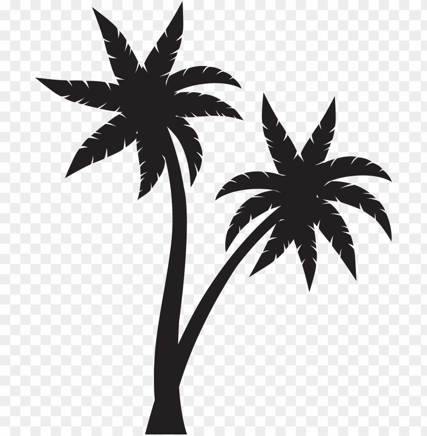 Free download | HD PNG black palm tree png download PNG transparent ...