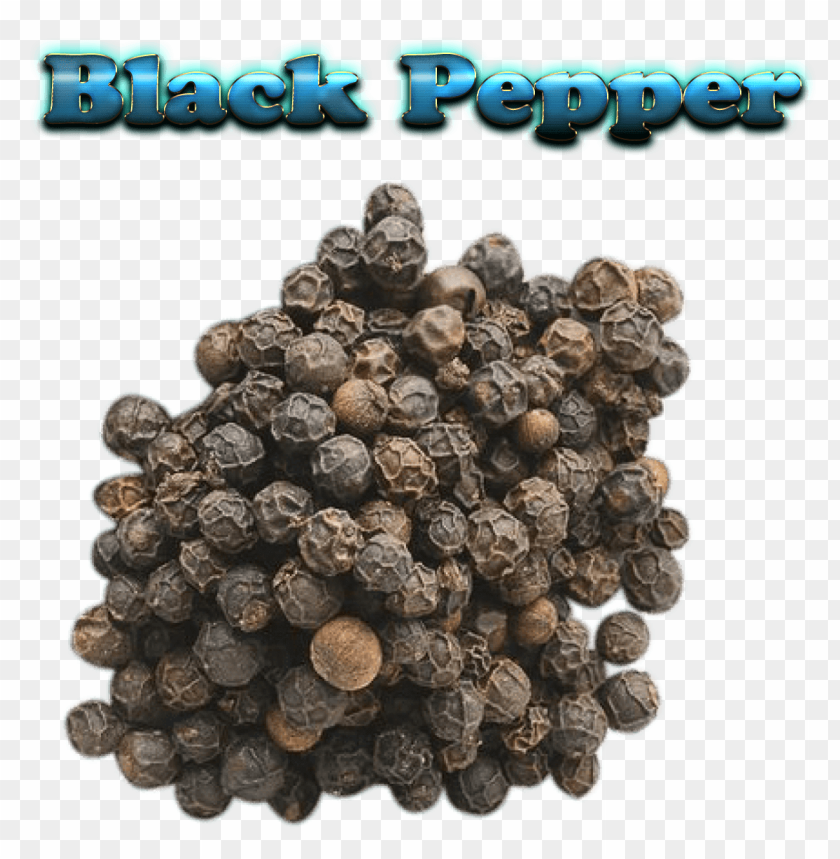 black pepper free png PNG images with transparent backgrounds - Image ID 36573