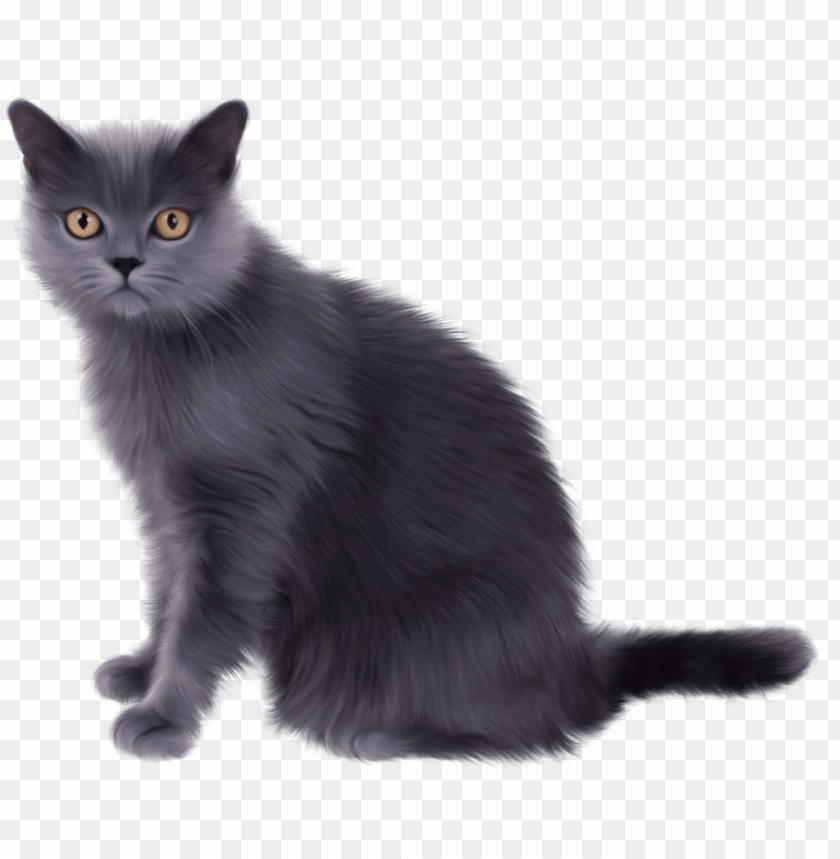 black sitting cat png images background - Image ID 10033