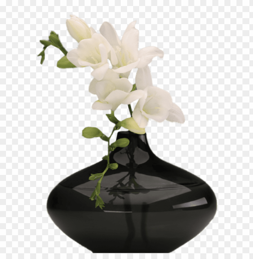 black vase with white orchids
