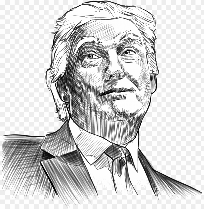 black & white donald trump portrait drawing PNG image with transparent  background | TOPpng