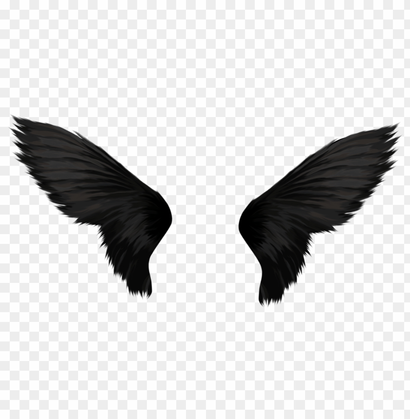 birds, objects, sky, fly, wings, wing, angel