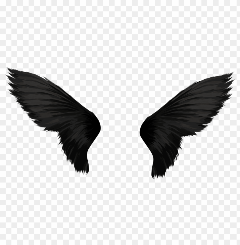 
birds
, 
objects
, 
sky
, 
fly
, 
wings
, 
wing
, 
angel
