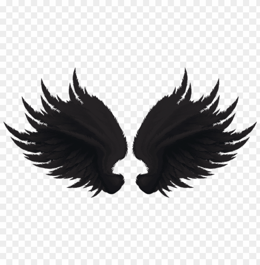 black wings transparent