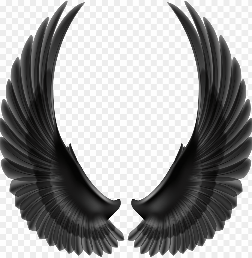 black wings transparent background PNG image with transparent background |  TOPpng