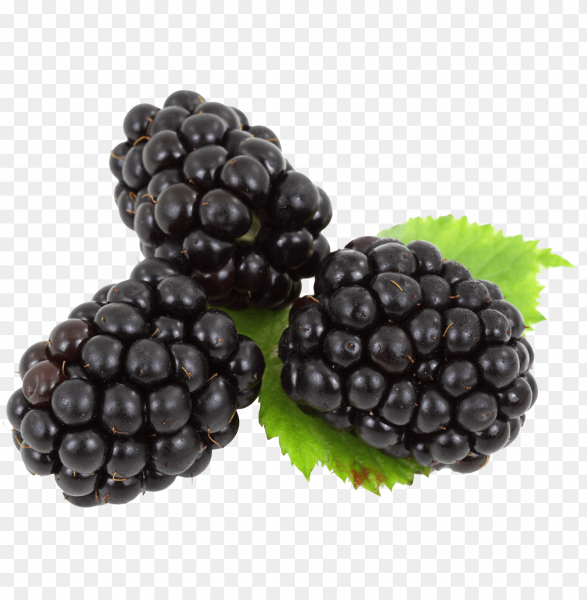 blackberry PNG images with transparent backgrounds - Image ID 13087