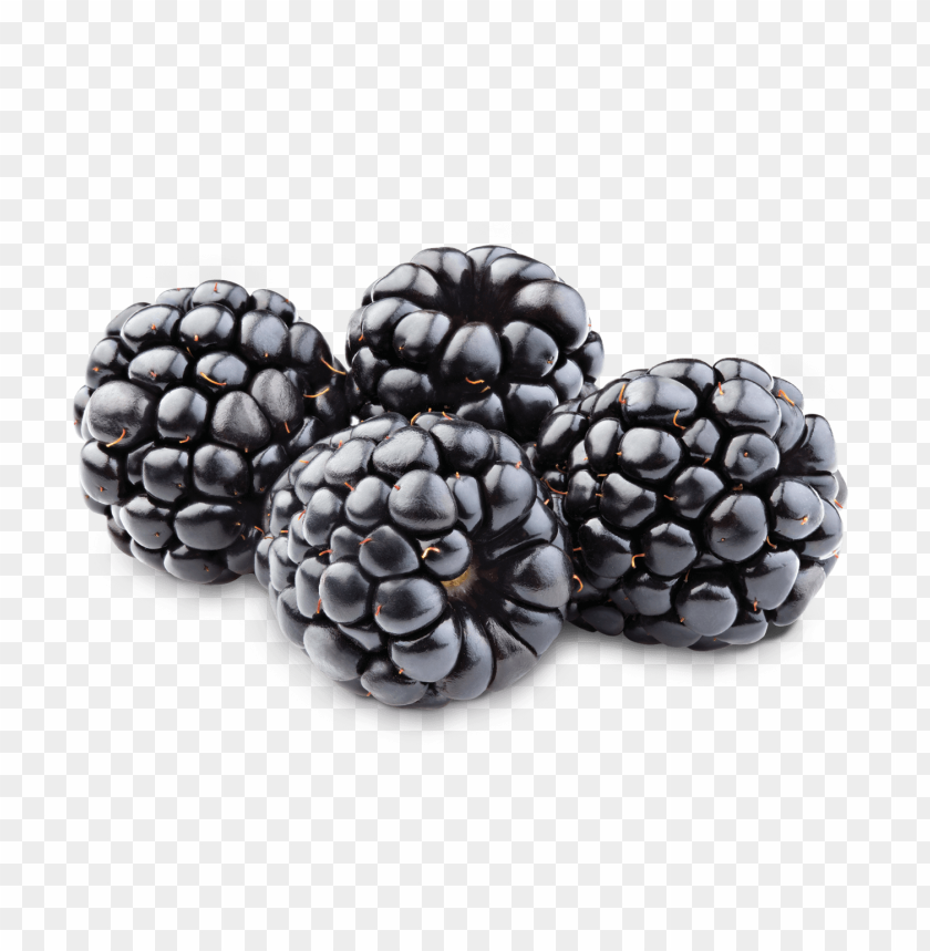 
hybrids
, 
blackberry
, 
rubus subgenus
, 
food
, 
fruit
