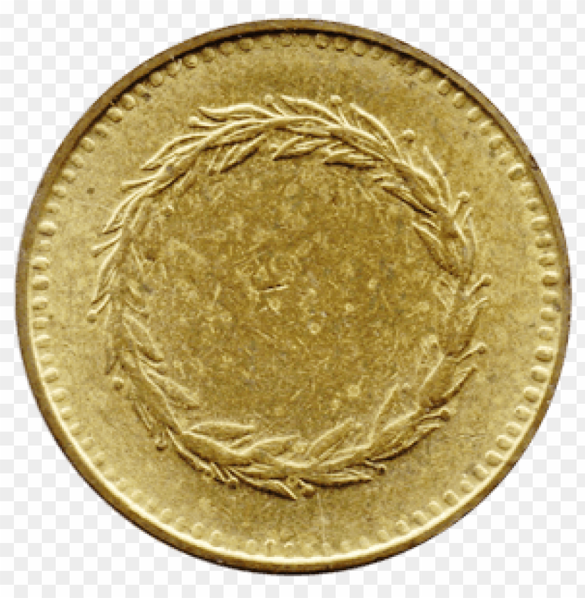 blank gold coin png