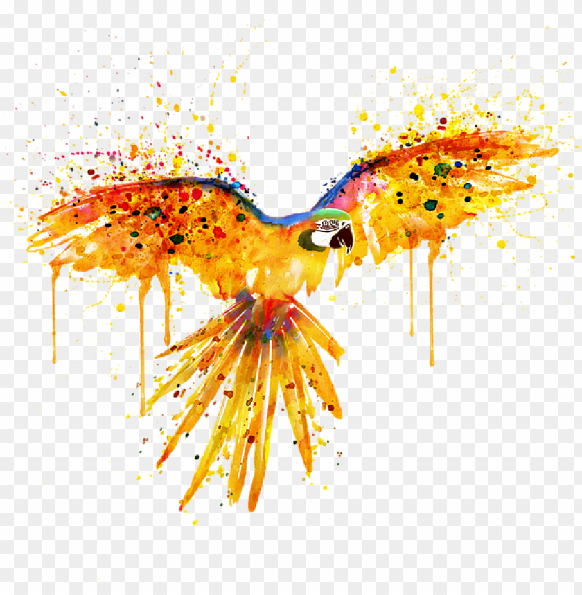 blood, fly, watercolor flower, wing, bird, silhouette, water color