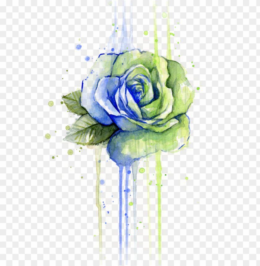 blood, roses, watercolor flower, wallpaper, people, decoration, water color