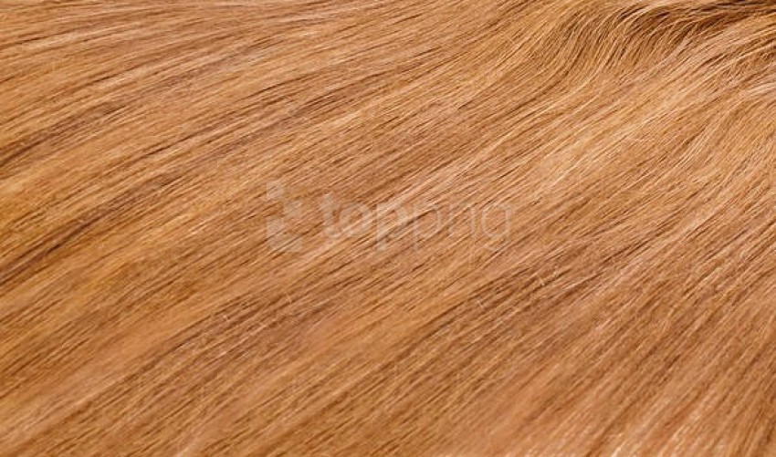 1. "Blonde Hair Texture" - Roblox Catalog - wide 4