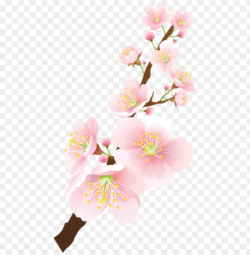 PNG image of blooming spring branch with a clear background - Image ID 47183