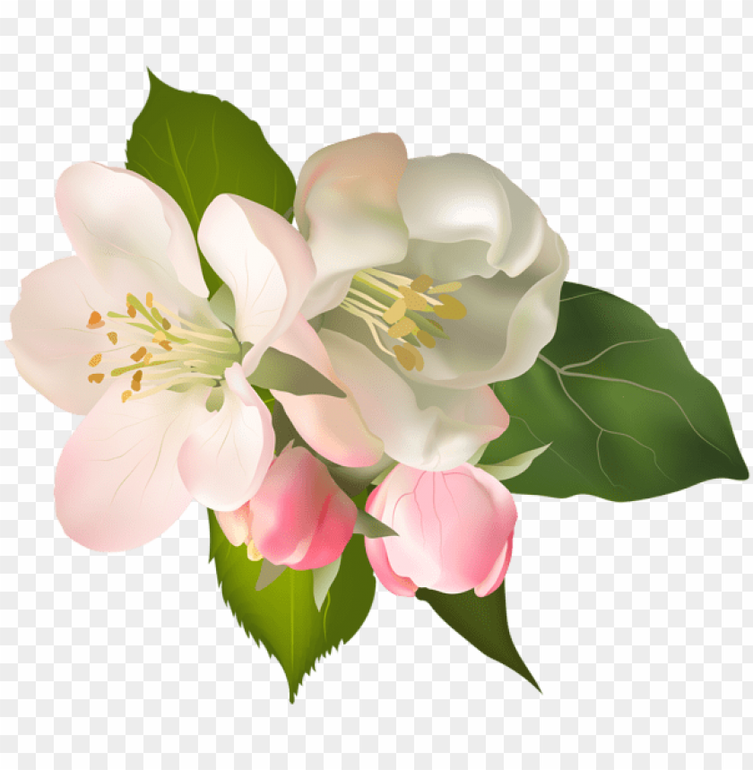 PNG image of blossom spring fower with a clear background - Image ID 47242