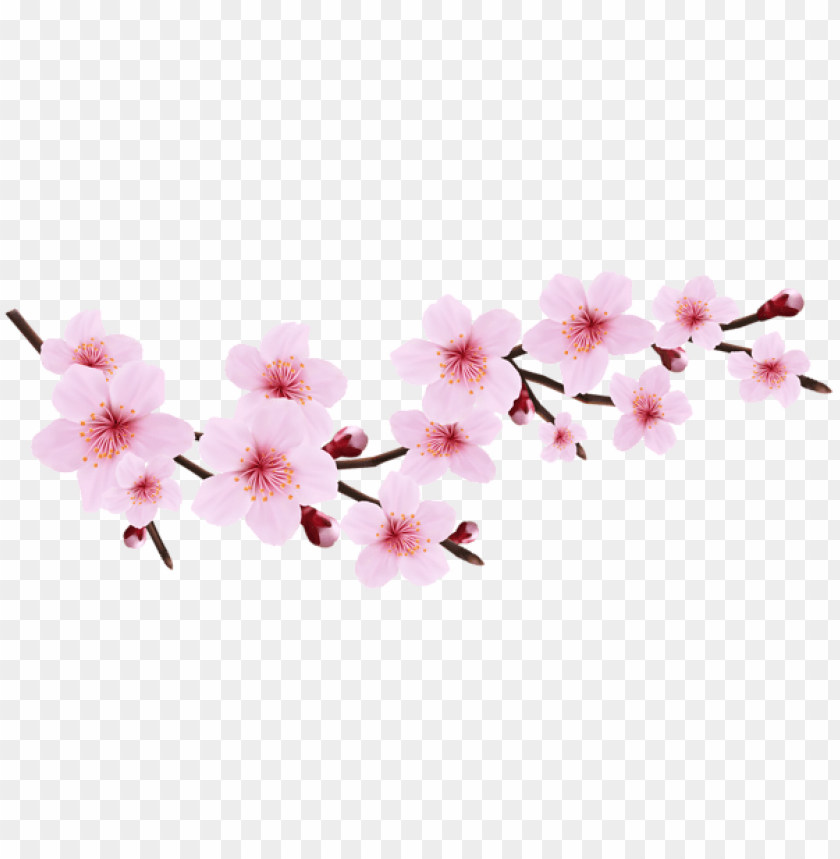 PNG image of blossom spring pink twig transparent with a clear background - Image ID 47157