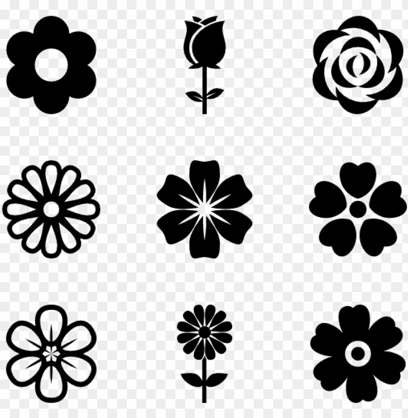 bloom, vector design, business icon, flower vector, rose, flat, isolated