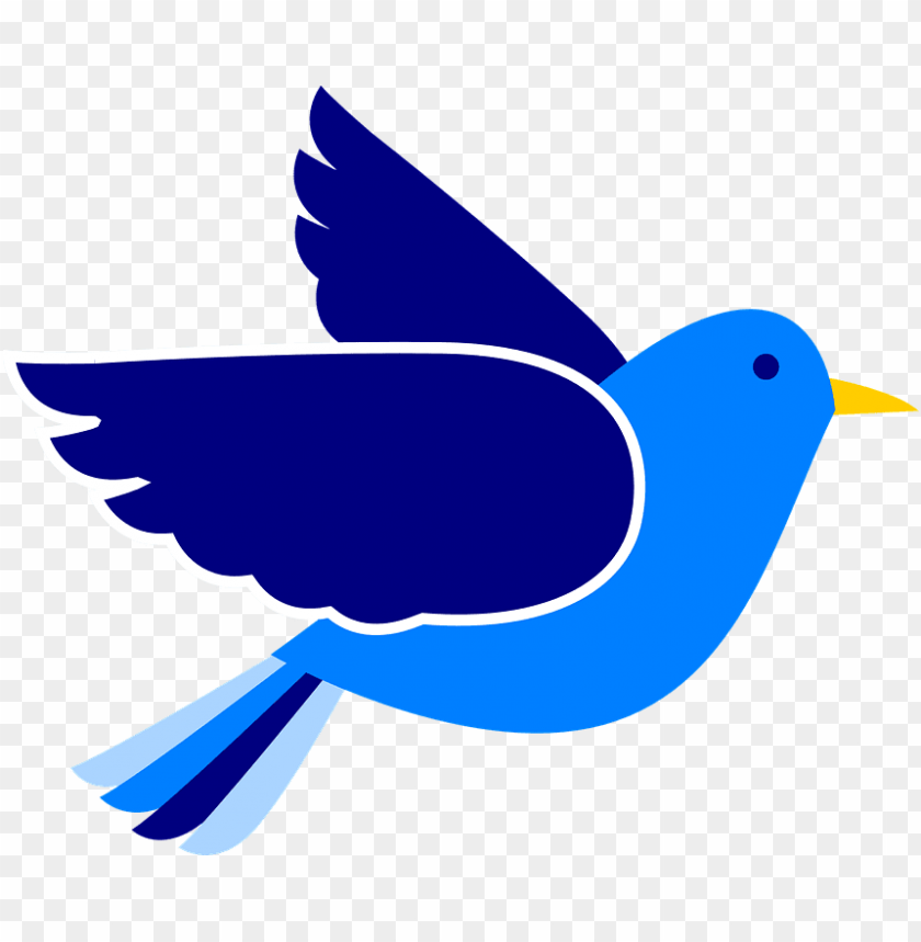 blue bird PNG image with transparent background@toppng.com