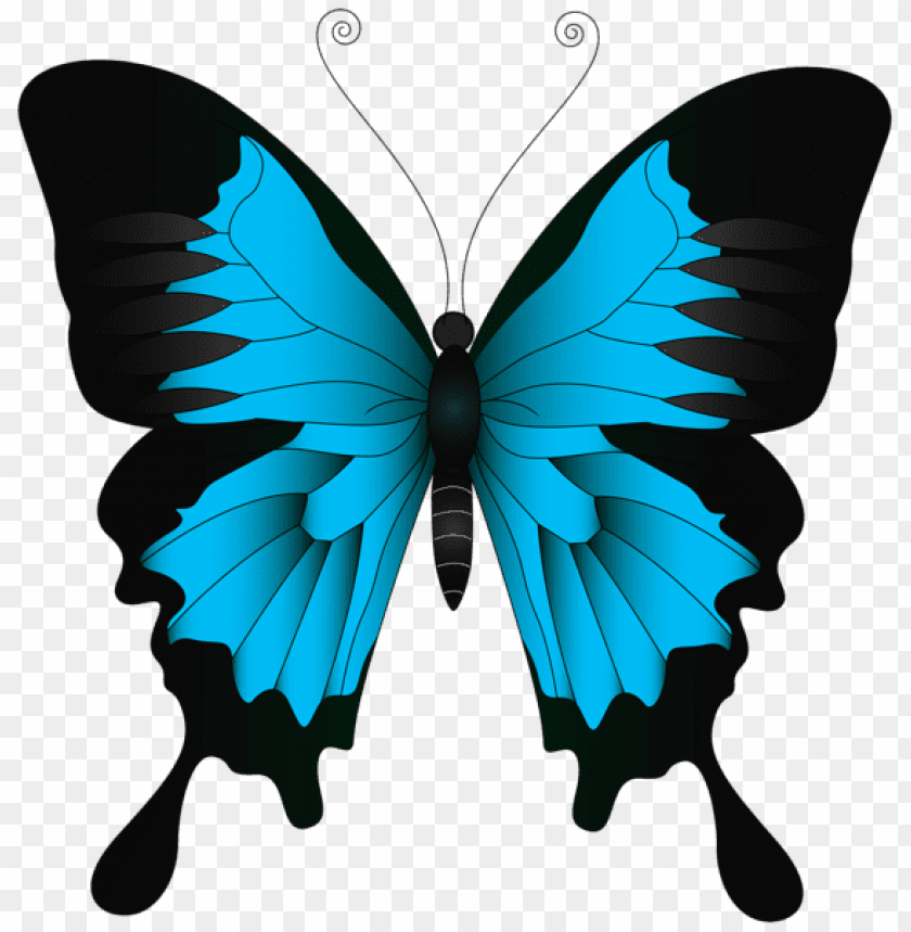 Download Download Blue Butterfly Clipart Png Photo Toppng